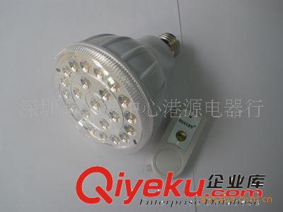 LED灯 厂家直销LED灯（带遥控）LED照明灯