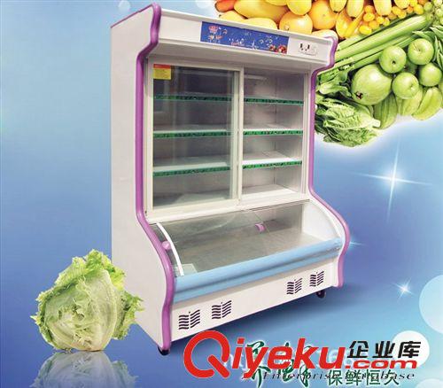 【冷藏冷冻柜系列 厂家直销 水果保鲜柜 蔬菜保