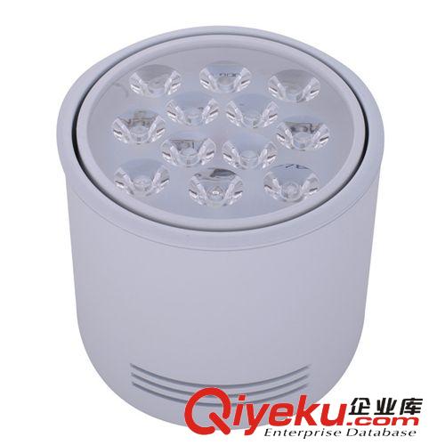 LED筒灯 厂家直销 供应LED大功率 明装筒灯12w 品质保障