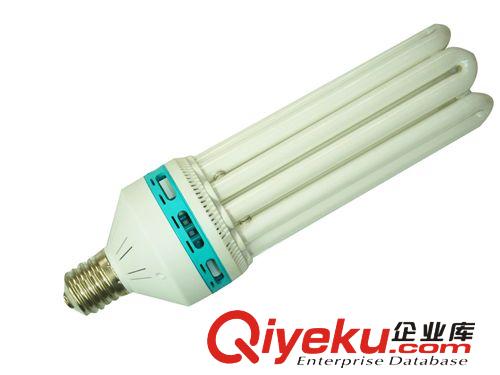 供应大功率节能灯系列 供应出厂价2U 3U 4U 5U 6U 8U系列电子节能灯
