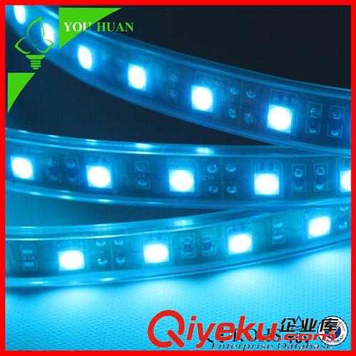 LED软灯条 厂家热卖 LED灯带 湖蓝色 SMD5050 双面FPC晶元 低压软灯条