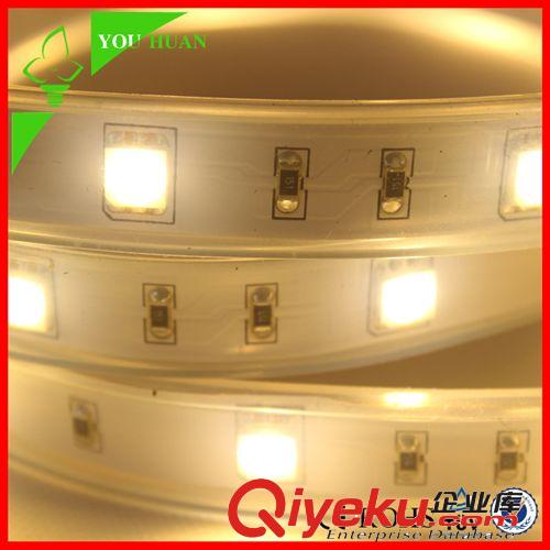 Q系列 直流12伏0.5米夜市led硬灯条 12V半米LED灯带 带夹线专柜灯带