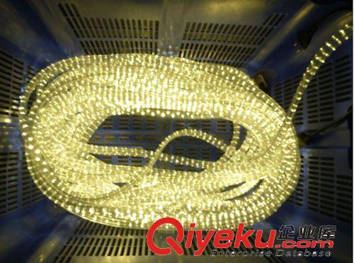 LED彩虹管系列 江门厂家供应高质量LED彩虹管 质保两年 扁三暖白光 LED高压灯带