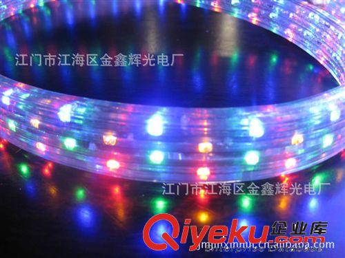 LED彩虹管系列 广东江门厂家供应LED彩虹管 质保两年 户外装饰LED高压软灯带灯条