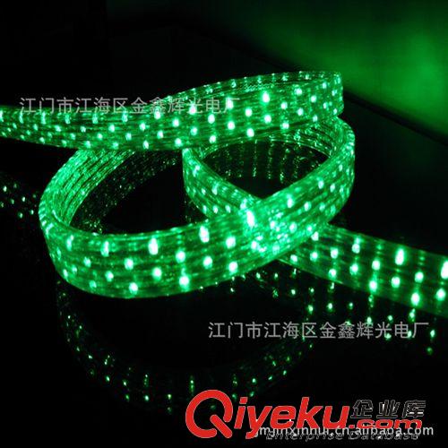 LED彩虹管系列 广东江门厂家供应LED彩虹管 台湾晶元 质保两年 LED柔性灯带灯条