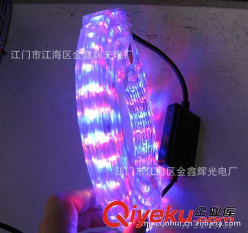 LED彩虹管系列 佛山厂家供应LED彩虹管 台湾晶元 全铜线 质保两年 LED柔性灯条