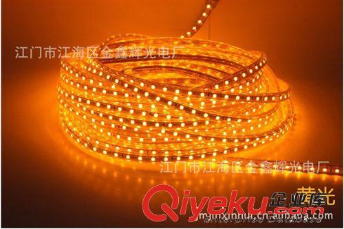 LED高压贴片灯带系列 广东中山 江门供应SMD 5050 3528 LED贴片式柔性灯带 LED软条灯