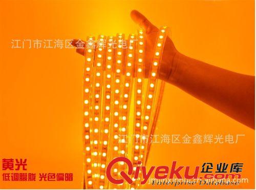 LED高压贴片灯带系列 亮化工程改造LED贴片灯带 质保两年 台湾晶元  LED灯条/柔性灯带