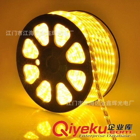 LED高压贴片灯带系列 广东 中山 供应亮化工程 质保两年 台湾晶元  LED贴片软灯条 灯带