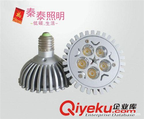 LED帕灯  5W压铸帕灯 LED大功率 本公司以信誉求发展 以质量求生存 质保3年
