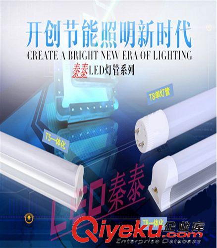 特价产品区 厂家直销T5-T8一体化灯管led日光灯管分体灯管量大更优惠 质保2年