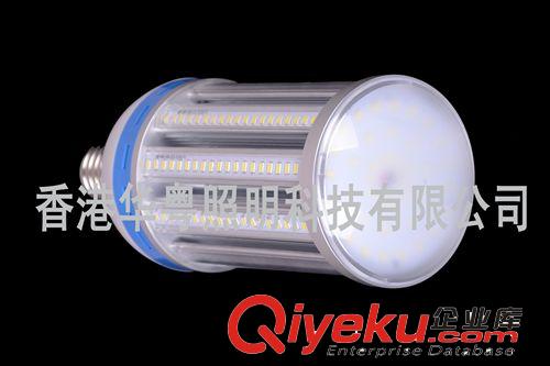 LED大功率节能灯 45W 高功率LED节能灯，LED玉米灯，LED工矿灯