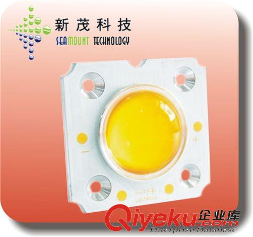台湾齐瀚COB光源 lustrous COB LED，V5，X5，DX5，TX5，XL5，C513 series COB LED