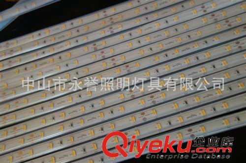 商业照明灯具 LED低压贴片柔性灯带原装三星5630 48珠24V  硅胶管工艺双面白板