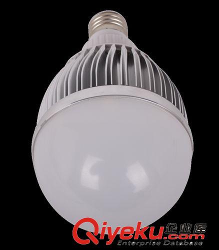球泡灯 球泡灯12W节能灯球泡灯室内照明LED 灯泡球室内家用光源E27螺口