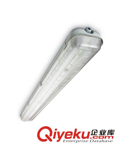 2013厂家直销 飞利浦TCW060 2*36W HF三防灯 车间实用灯具