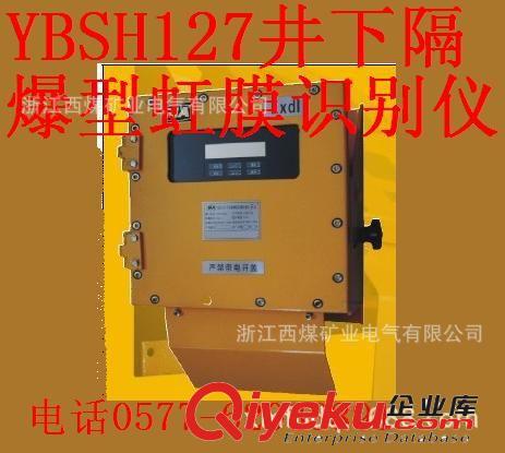 低价供应北京YBSH127井下隔爆型虹膜识别仪