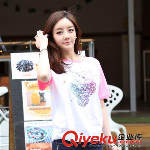 韩国2014年夏季新款 韩版纯棉圆领短袖T恤  女 猫头鹰印花宽松T恤