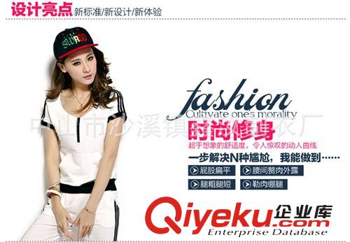 厂家定制2014新款韩版纯色女式裤套短袖装 运动休闲套装