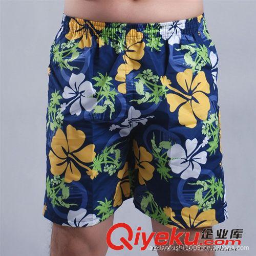 厂家订单生产外贸新款男式沙滩裤，可来样定做，价格详谈