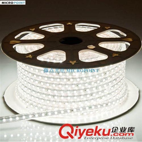 三年质保 工厂直销 单色 七彩 防水 110V/220V 高压 LED造型灯带