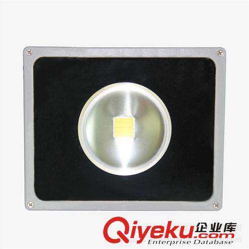 【品质保证】供应LED投光灯30W 聚光透镜LED芯片节能无污染