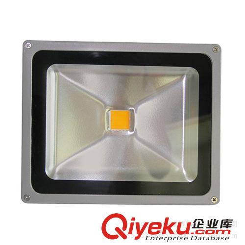 【热门产品】供应LED投光灯 30W超高亮度 LED芯片节能无污染