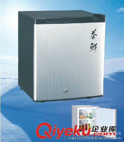 小冰箱 迷你小冰箱 35L车载冰箱 半导体制冷 省电环保 厂家批发