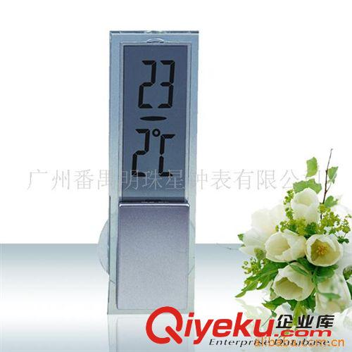 供应厂家供应LCD温度计PM768,PM769