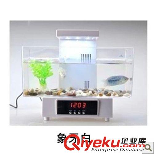 供应USB迷你鱼缸水族箱 办公室桌面鱼缸创意生态电子鱼缸带泵养鱼