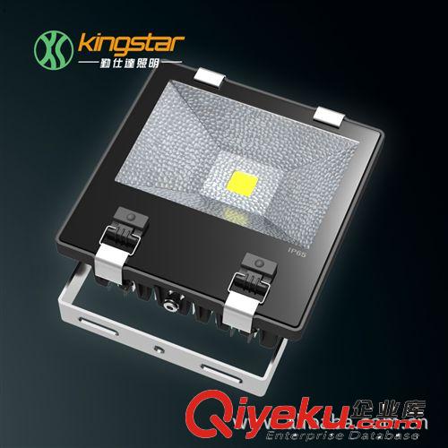 LED泛光灯 100W泛光灯 LED投光灯 LED投射灯 户外灯具 生产厂家