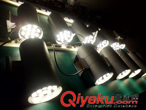 LED户外壁灯 双头圆形 2*12WLED户外防水壁灯 24W大功率LED室外壁灯 灯饰灯具