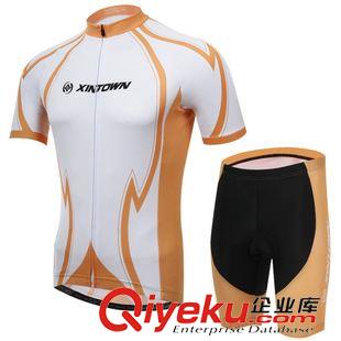 2015夏季新款 2015新款流月系列骑行服短袖套装 自行车服 夏季吸湿排汗透气衣裤
