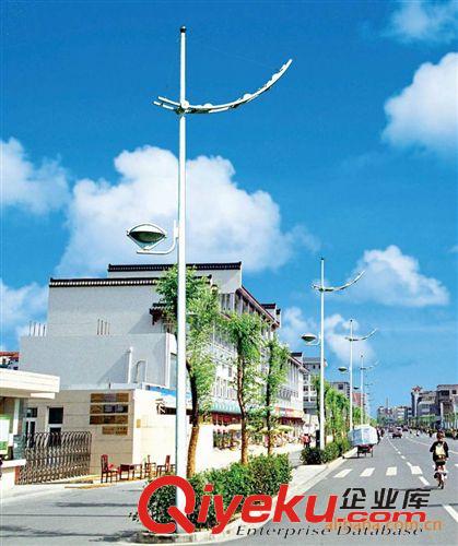 道路灯系列 东莞同行业领军企业专业低价优惠直销 各类型道路灯杆