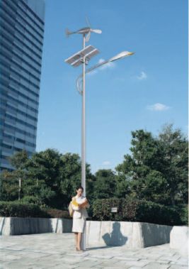 风光互补路灯 太阳能路灯厂家 提供风光互补路灯 大功率led路灯及路灯杆!