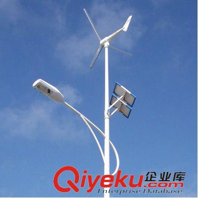 风光互补路灯 5-8米led风光互补太阳能路灯 12V 30w 低价批发 节能认证产品
