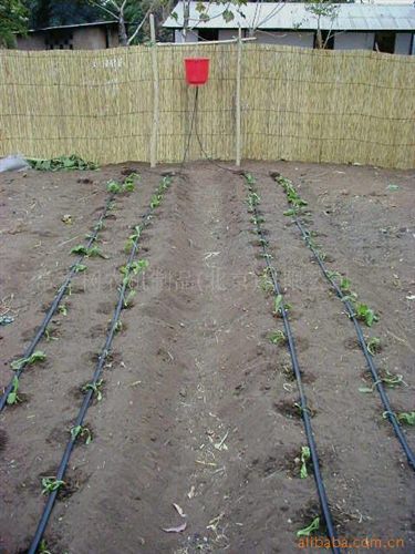户用滴灌类 户用桶具滴灌装置  小型/户用灌溉设备 家用菜园浇水装置