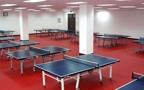运动地板 东莞中山乒乓球场专用红色pvc胶地板 弹性环保防火运动地板