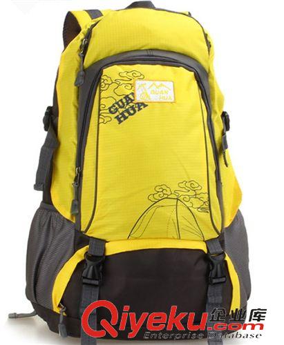 户外包 新款防水户外双肩包大容量登山包男女通用轻便运动包徒步旅行背包