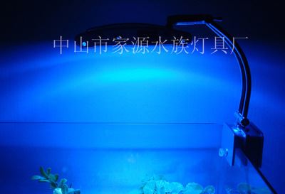 LED小缸夹灯 LED鱼缸夹灯 水族夹灯 小缸灯 海水缸灯 淡水缸灯 水草灯 珊瑚灯