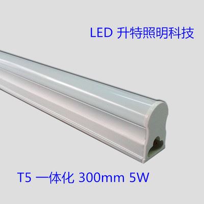 LED 日 灯 管 厂家直销 T5 LED日光灯 0.3米5W t5一体化 日光灯管 LED灯管