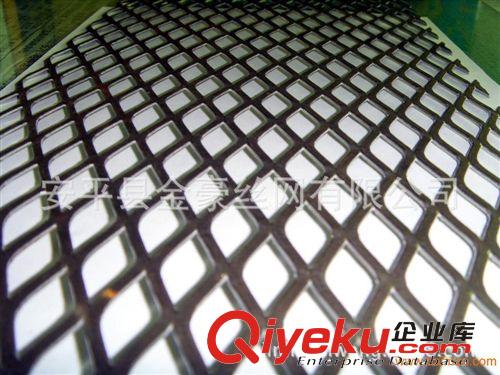 tj供应轧平钢板网 特殊不锈钢板网 304钢板网 钢板网