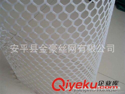 安平县厂家直销批发 塑料平网 养殖网 养鸡网 隔离网 颜色齐全