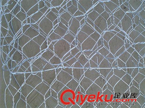 厂家大促销铁丝网 镀锌铁丝网 镀锌菱形网 物美价廉镀锌网片
