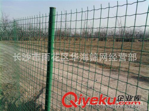 长沙厂家直销农业围栏网 养鸡围网，养殖防护网，