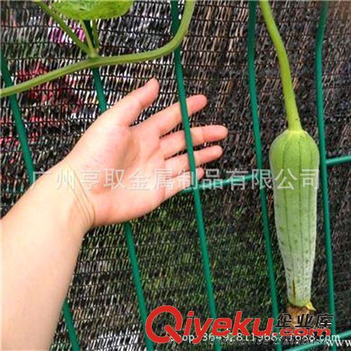 【适合户外种植】瓜果植物牵藤塑料围网 爬藤类植物栽培塑料平网