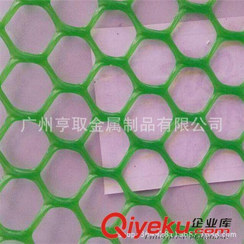 六角形孔塑料网 方形孔塑料网 菱形孔塑料网 各种尺寸均有现货