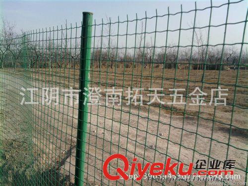 【厂家直销围栏网】 养殖养鸡用围栏铁丝网 果园围栏网 护栏网