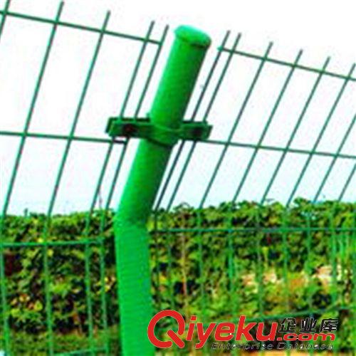 安平森立批发双边丝护栏网、养殖专用双边丝护栏网、小区护栏网