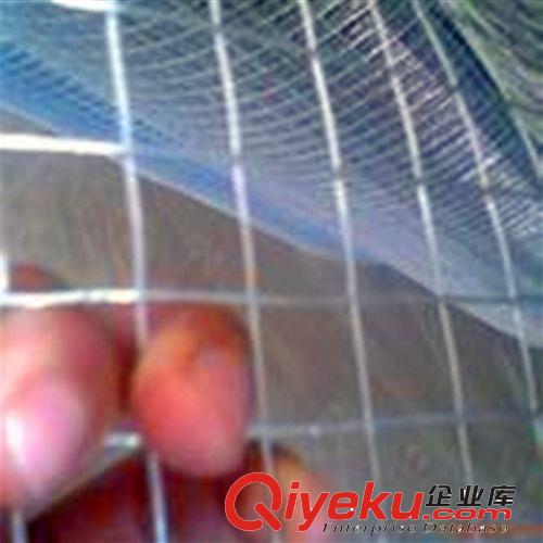 厂家直销墙体保温电焊网、小区住宅建筑电焊网、安平森立电焊网